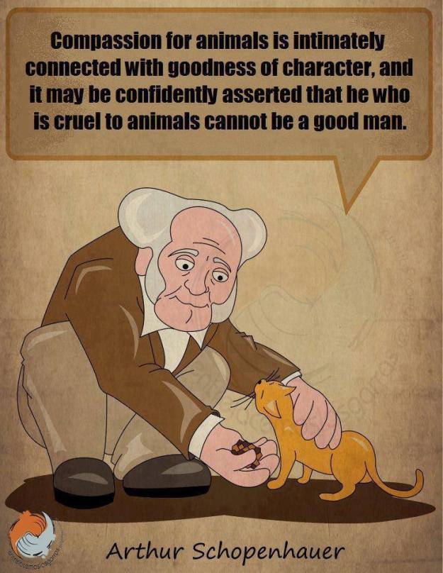 1520822_283651201789716_415585656_n