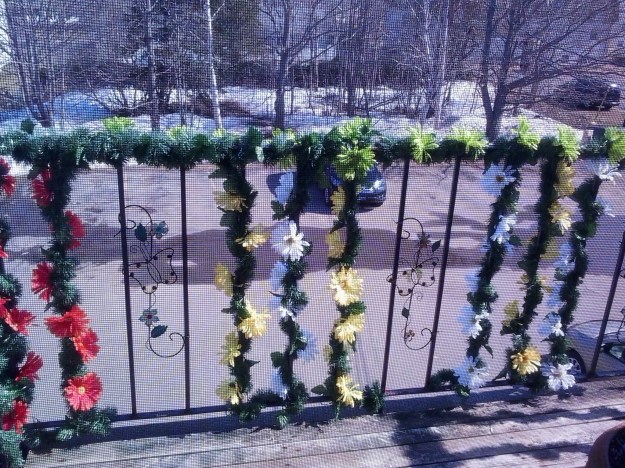 My balcony blooming while snow still lies on the ground in May 2015